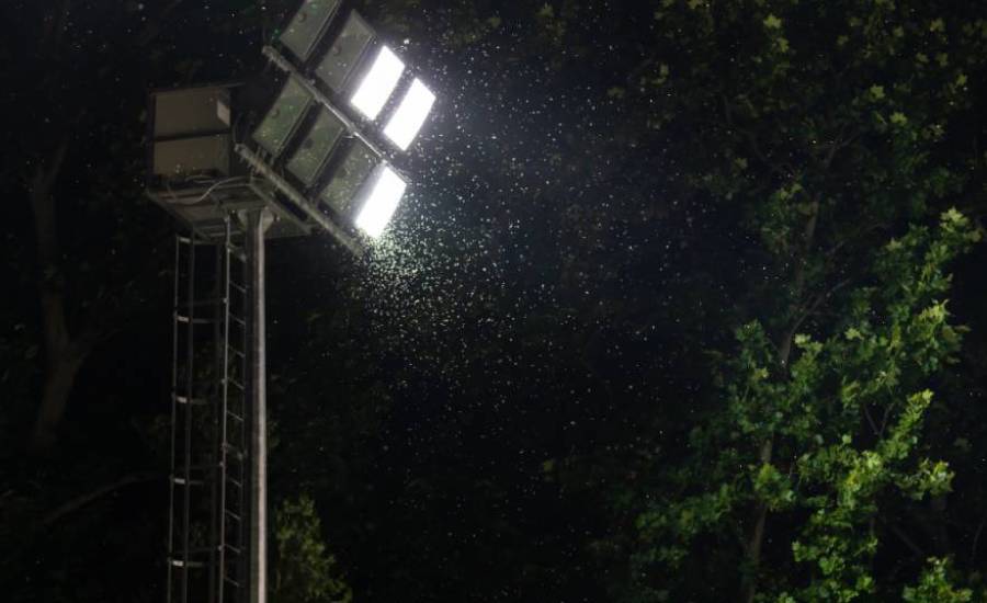 Can LED Flood Lights Handle Extreme Heat and Rain